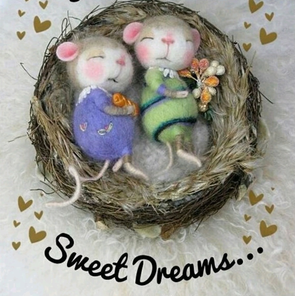 Meet your Posher, Michelle